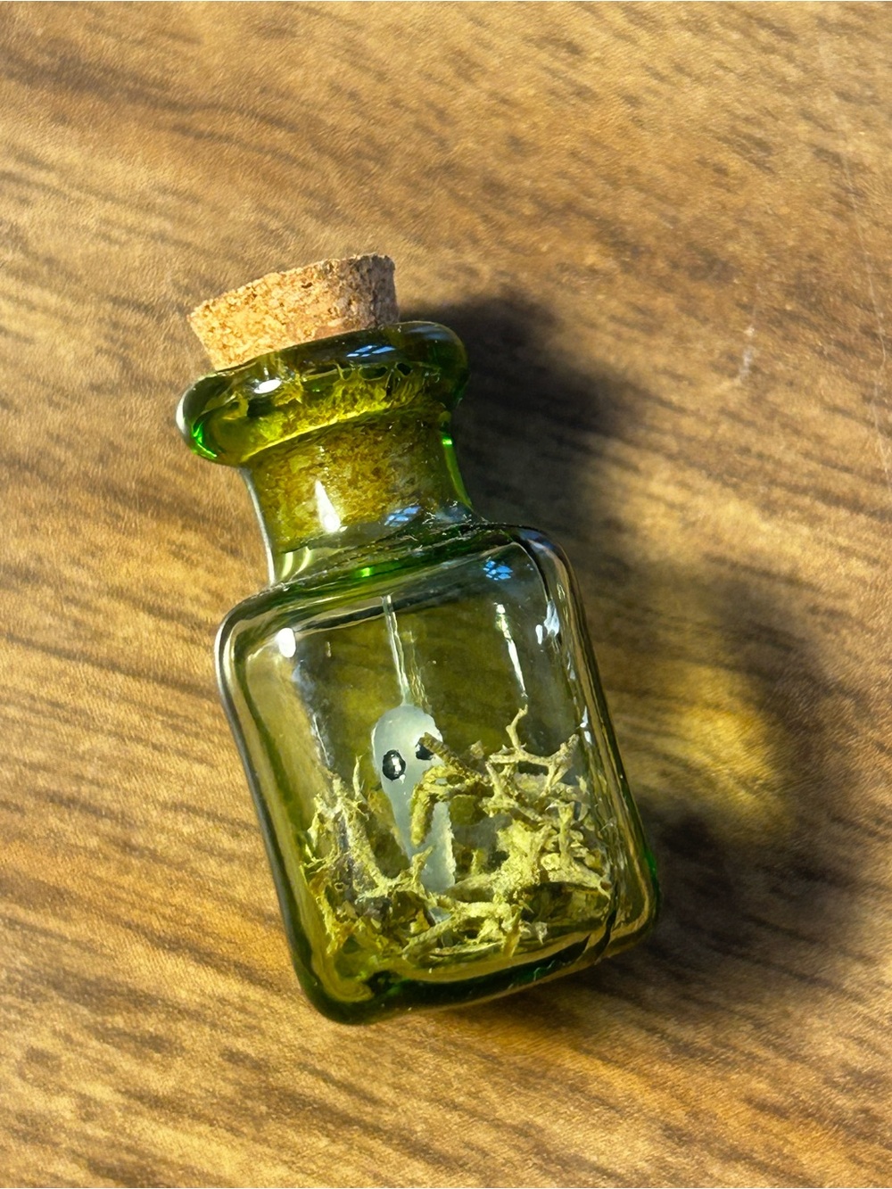 Handmade Tiny Ghost in a Bottle | Mini Moss Terrarium Spooky Cottagecore Decor